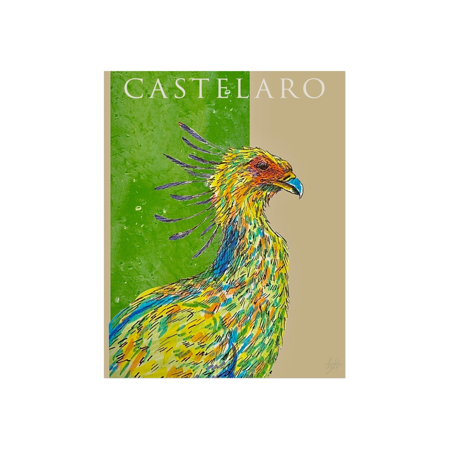 Secretary Bird Fine Art Poster