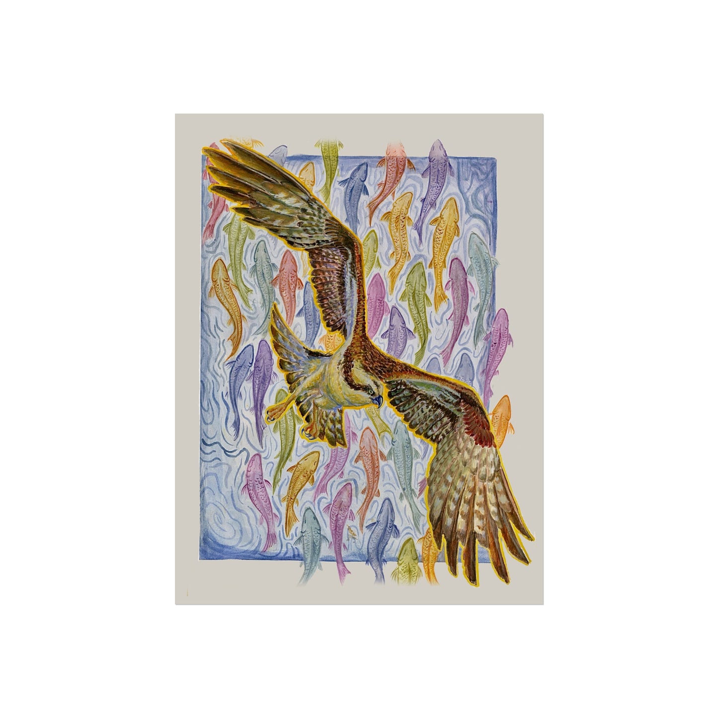 Osprey Soaring Over Koi Fine Art Poster