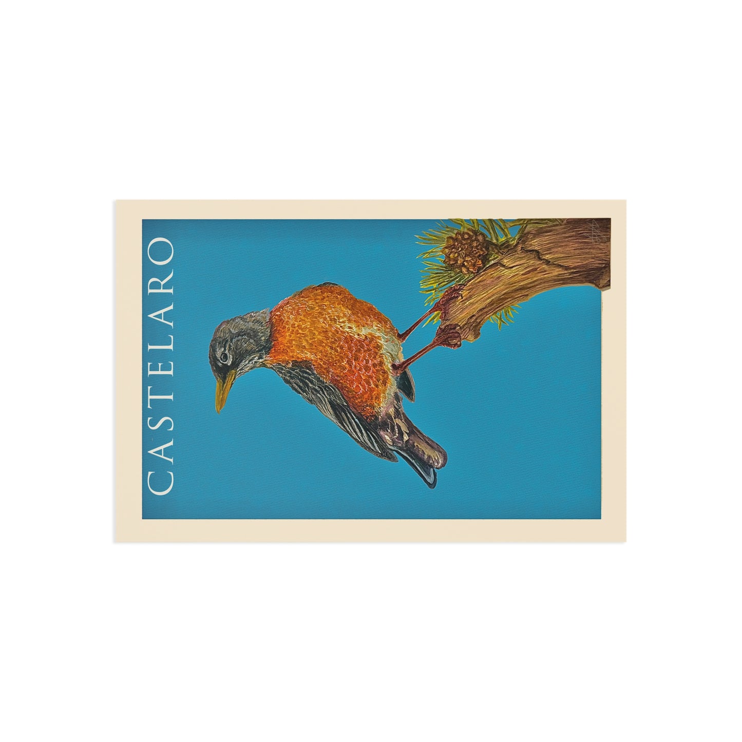 Castelaro Robin Postcard
