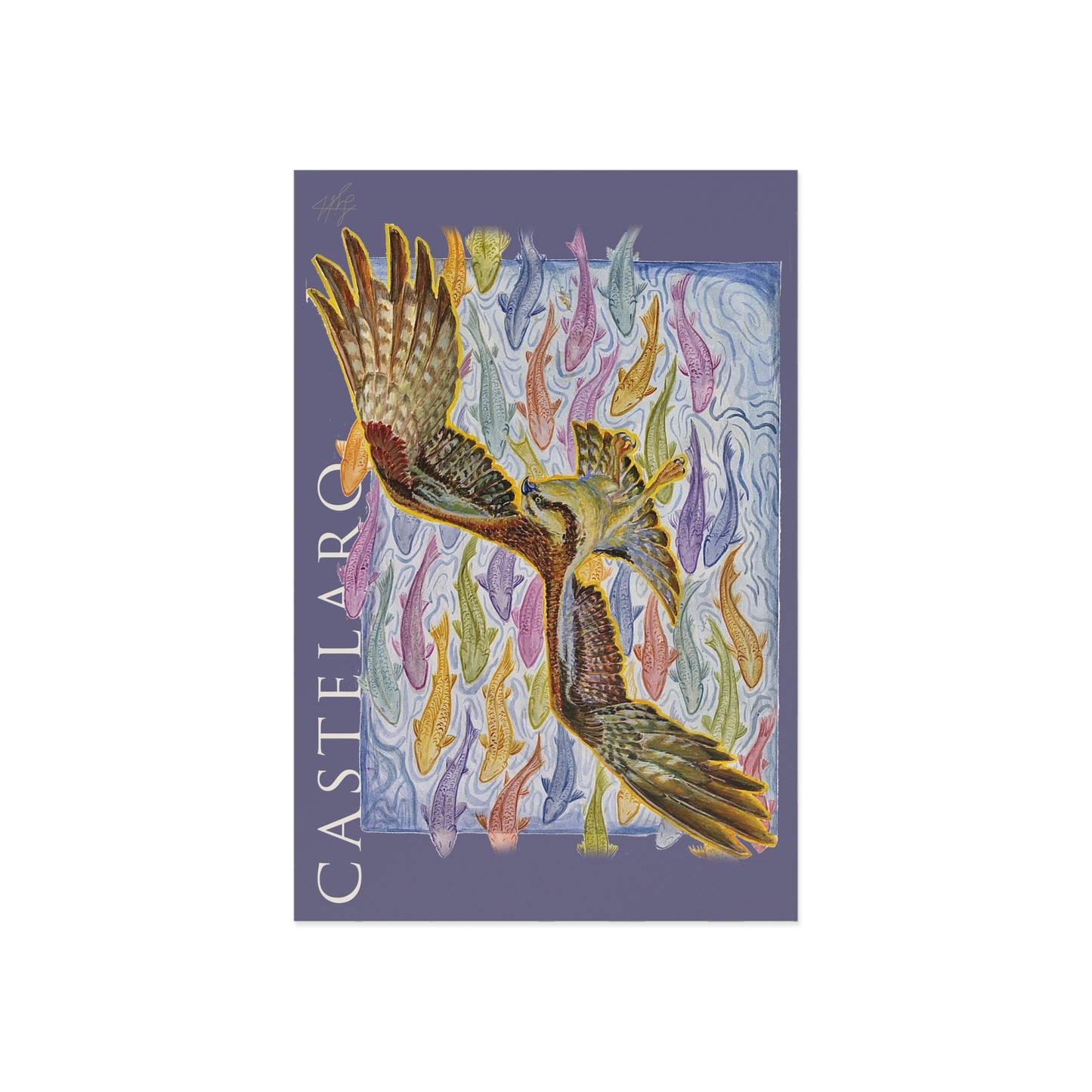 Osprey Fine Art Postcard