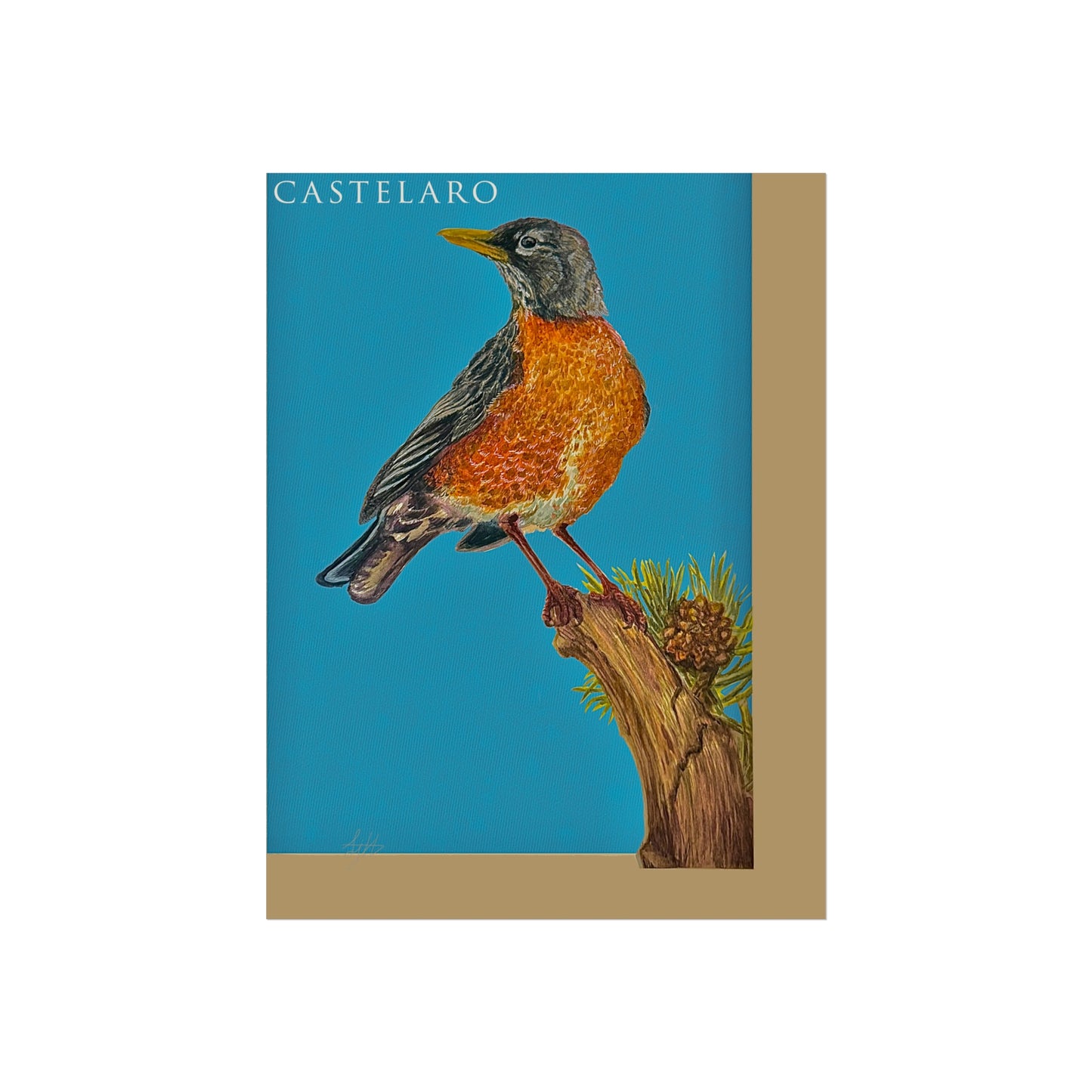Robin Fine Art Poster