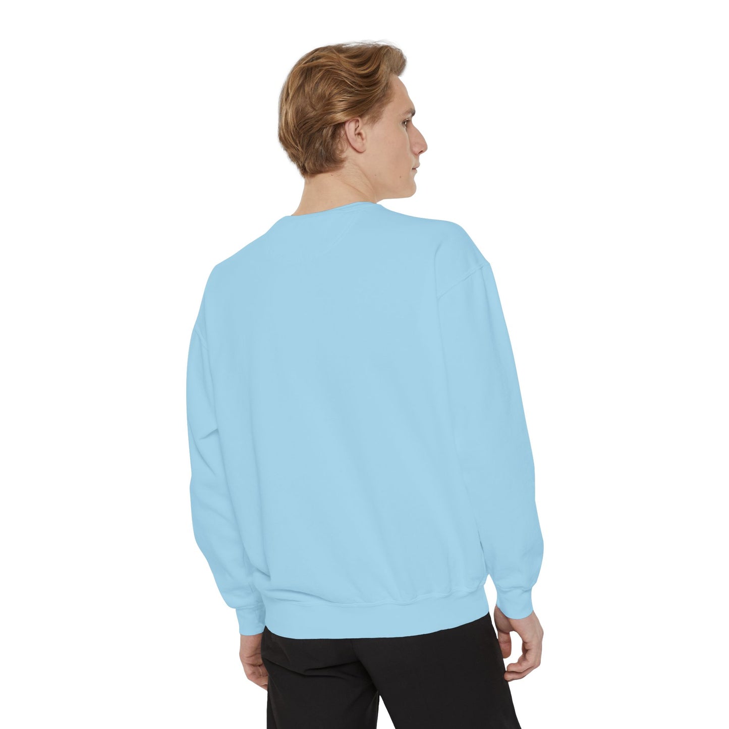 Secretary Bird Sweatshirt