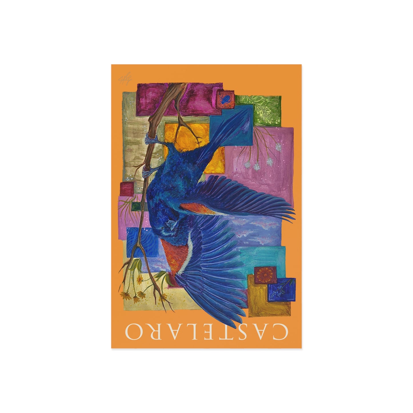 Redwing Black Bird Postcard