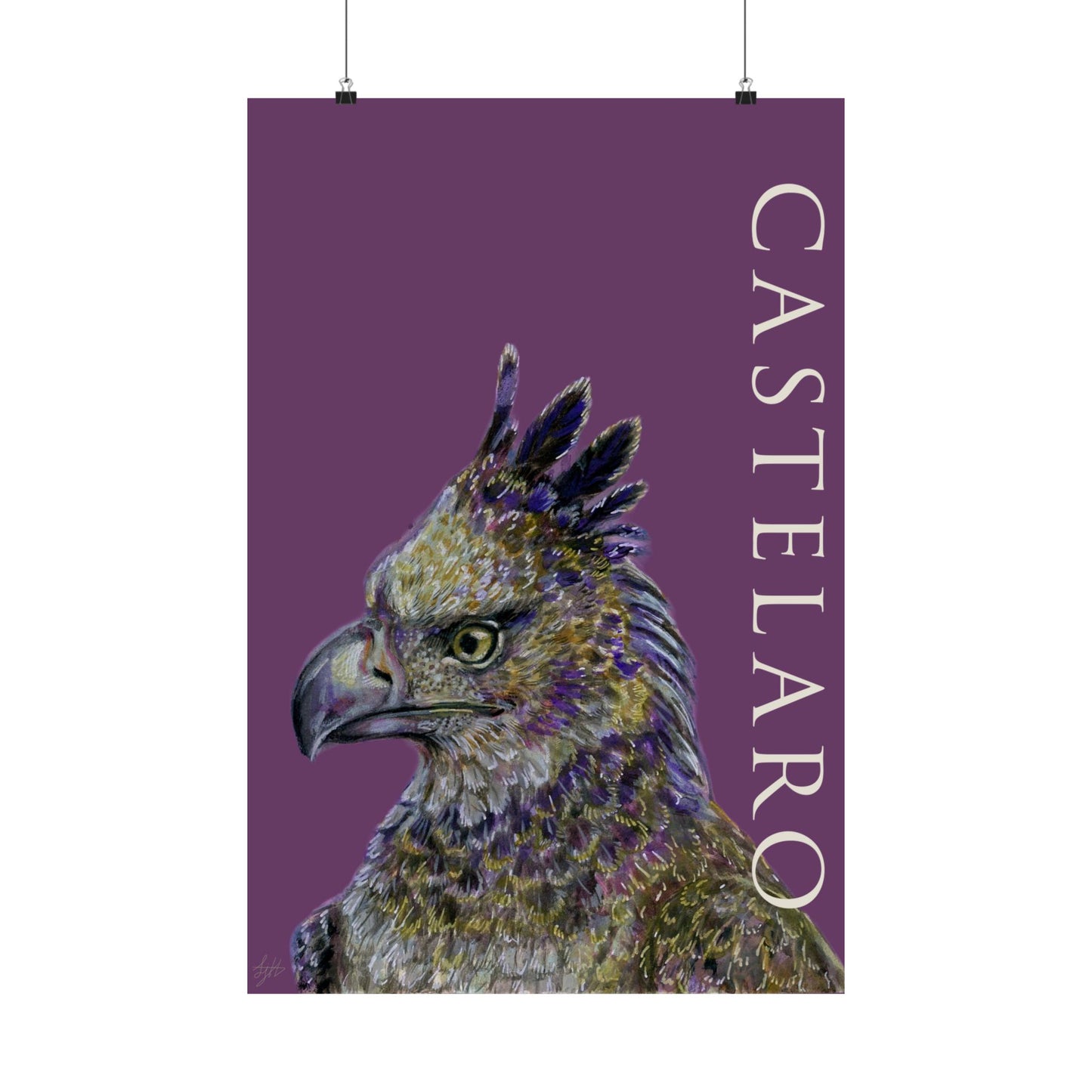 Castelaro Harpy Eagle Matte Poster