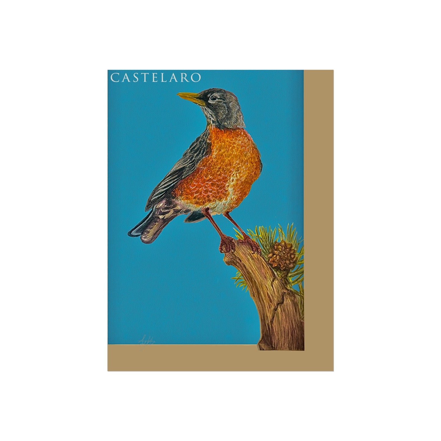 Robin Fine Art Poster
