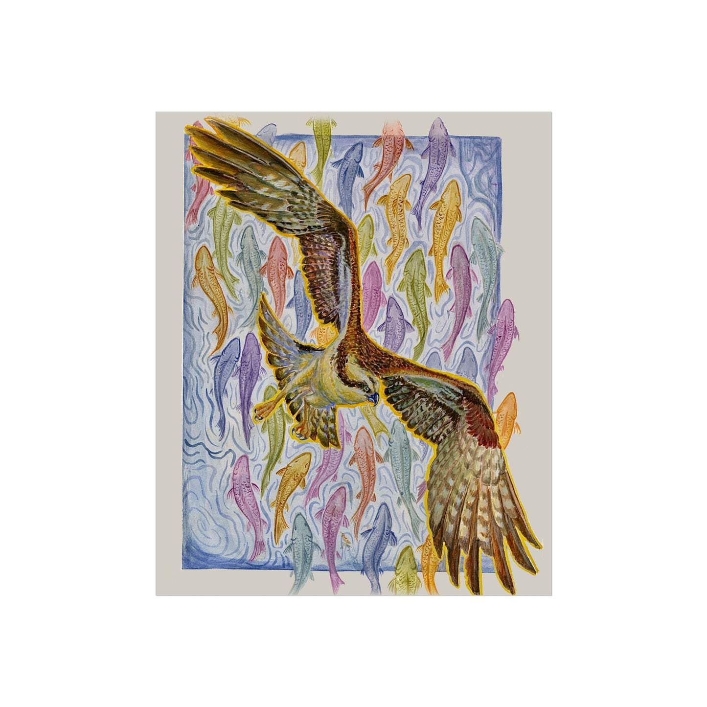 Osprey Soaring Over Koi Fine Art Poster