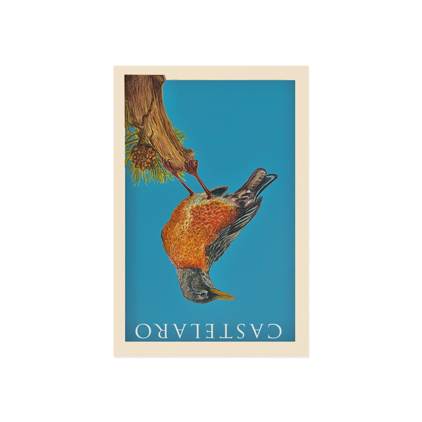 Castelaro Robin Postcard