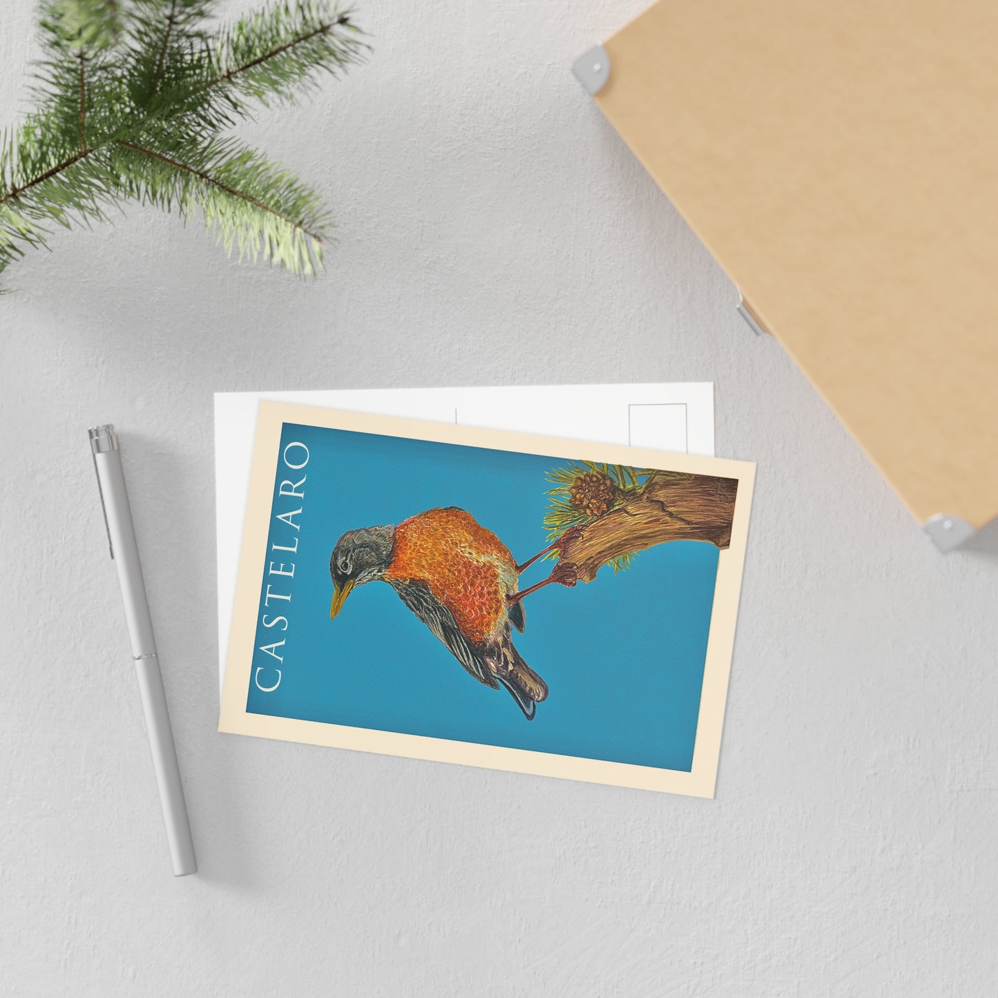 Castelaro Robin Postcard