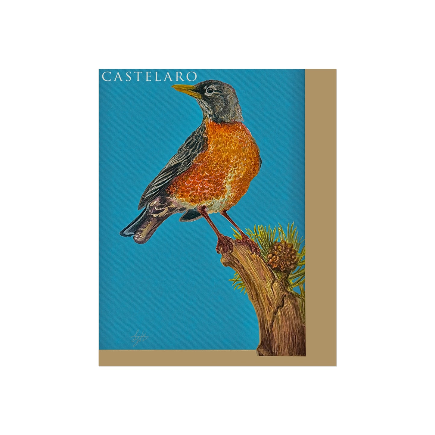 Robin Fine Art Poster