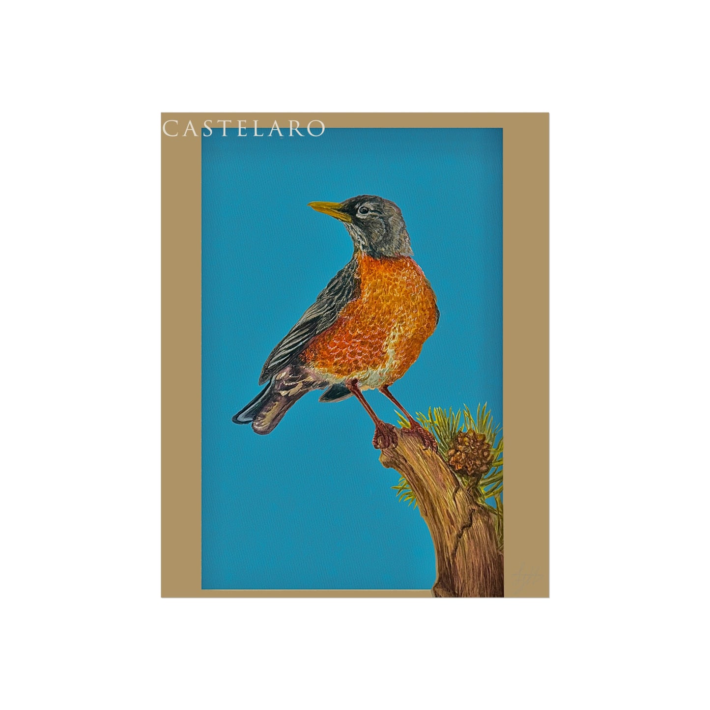 Robin Fine Art Poster