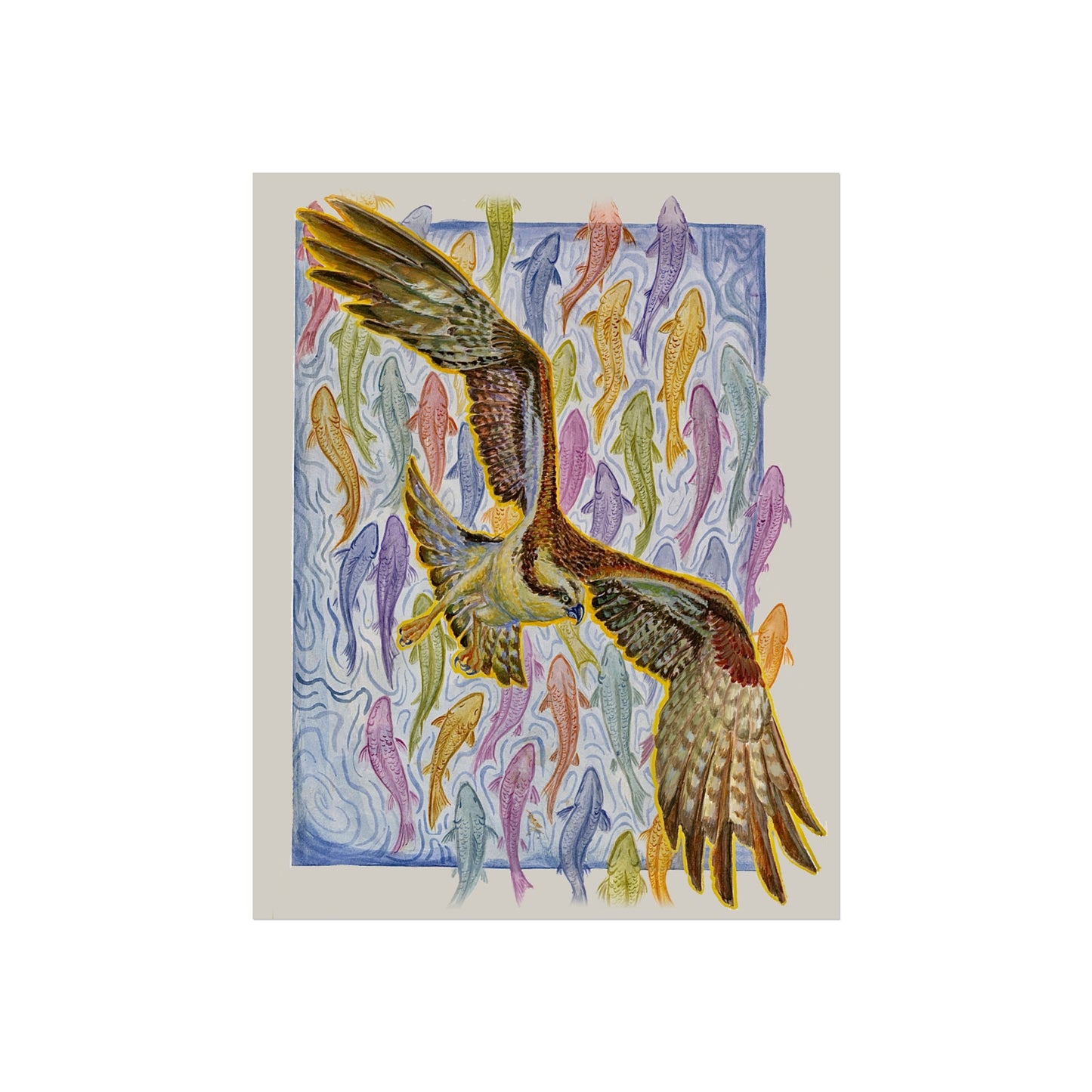 Osprey Soaring Over Koi Fine Art Poster