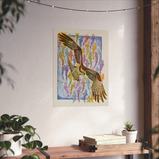 Osprey Soaring Over Koi Fine Art Poster