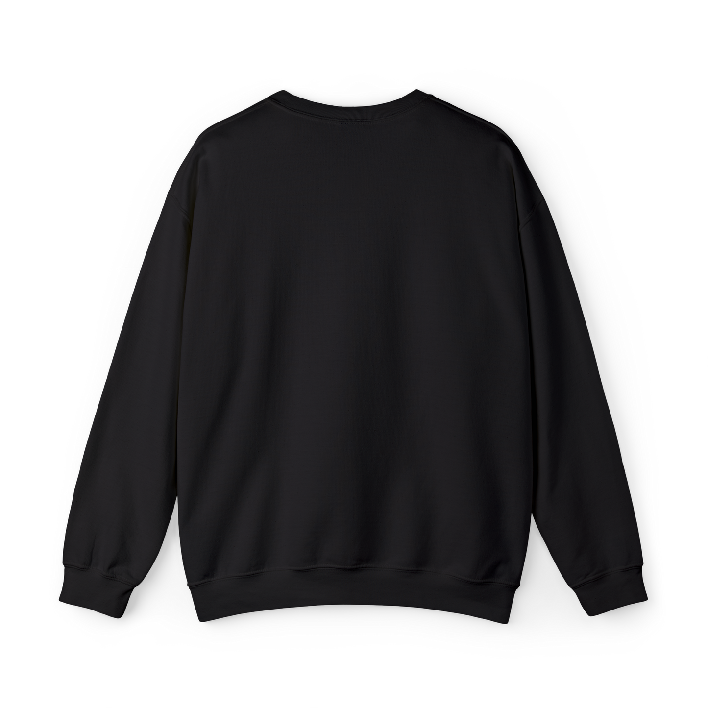 Castelaro Embroidered Crewneck Sweatshirt