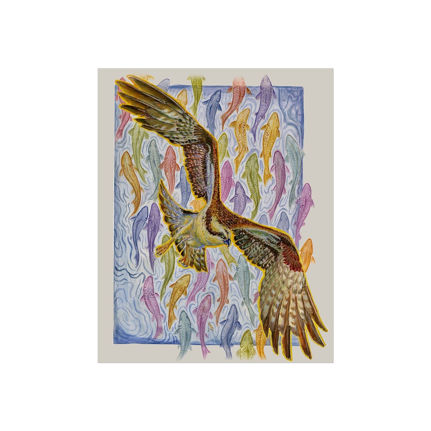 Osprey Soaring Over Koi Fine Art Poster
