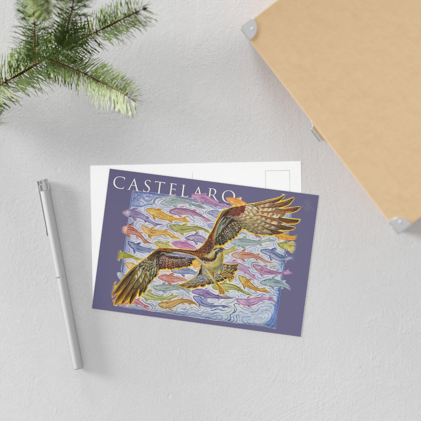 Osprey Fine Art Postcard