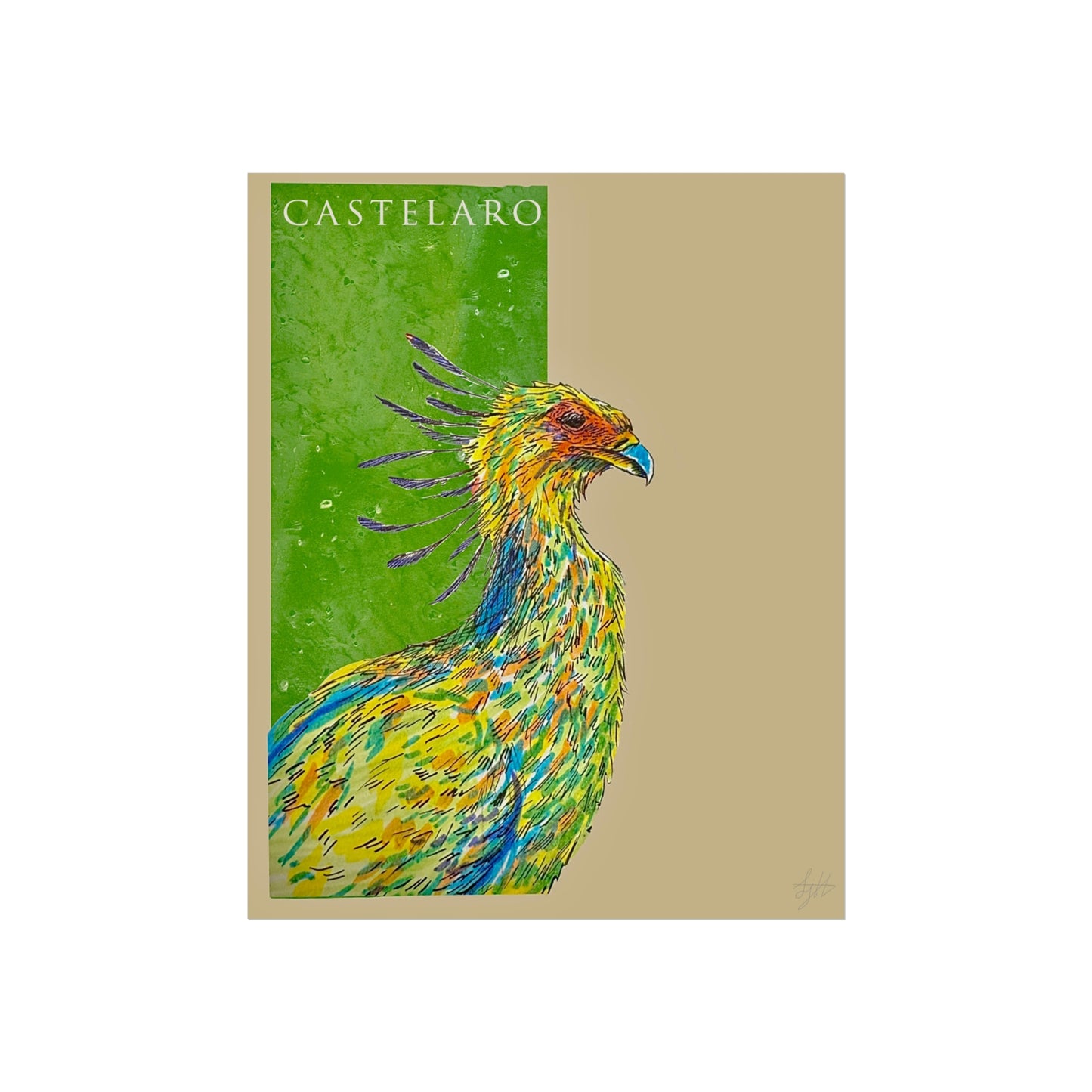 Secretary Bird Fine Art Poster