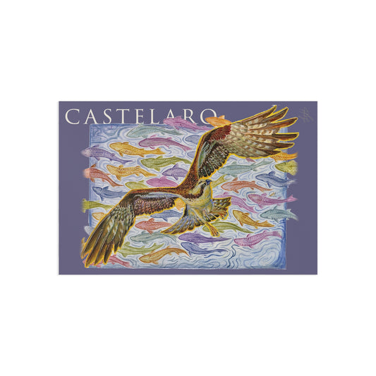 Osprey Fine Art Postcard