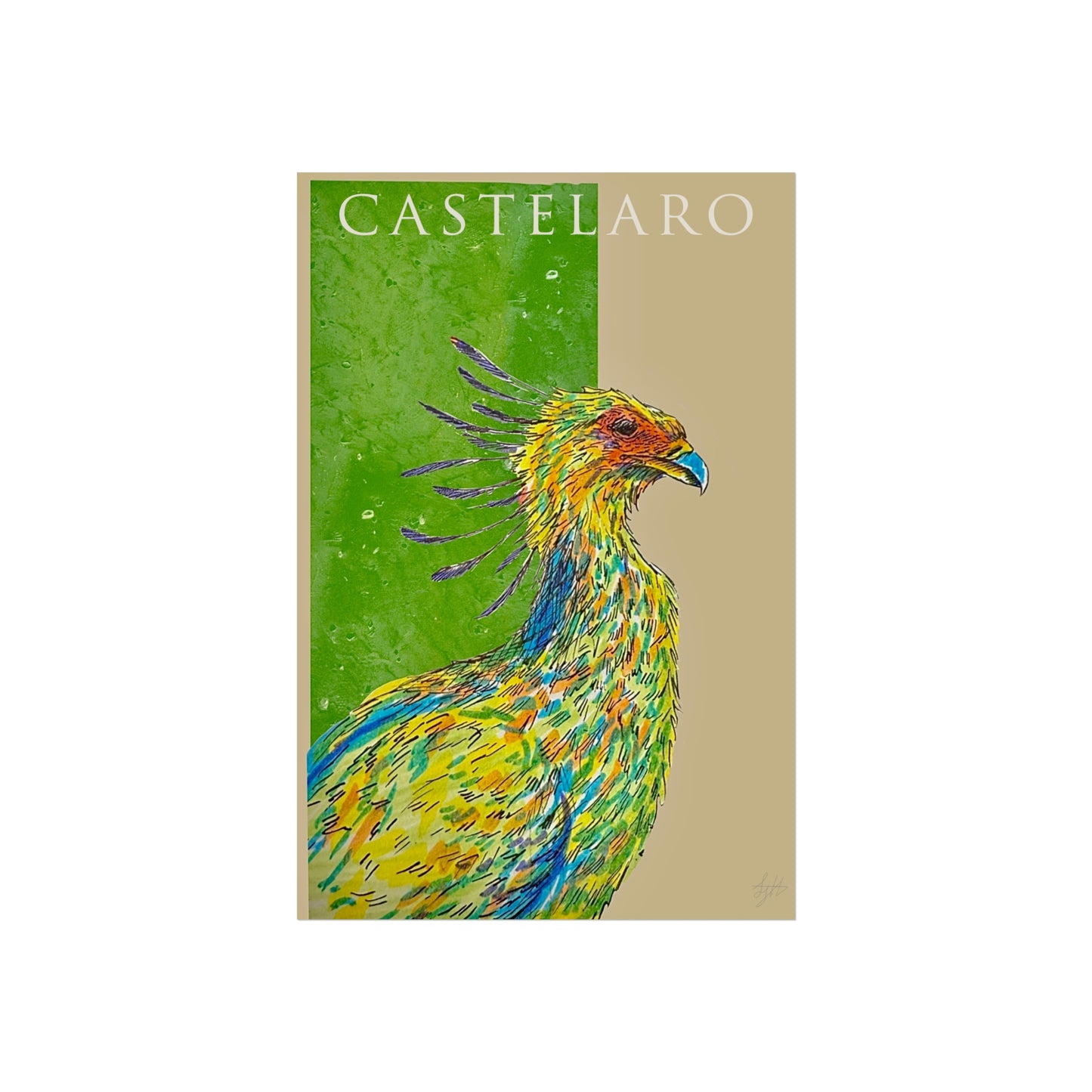 Secretary Bird Fine Art Poster