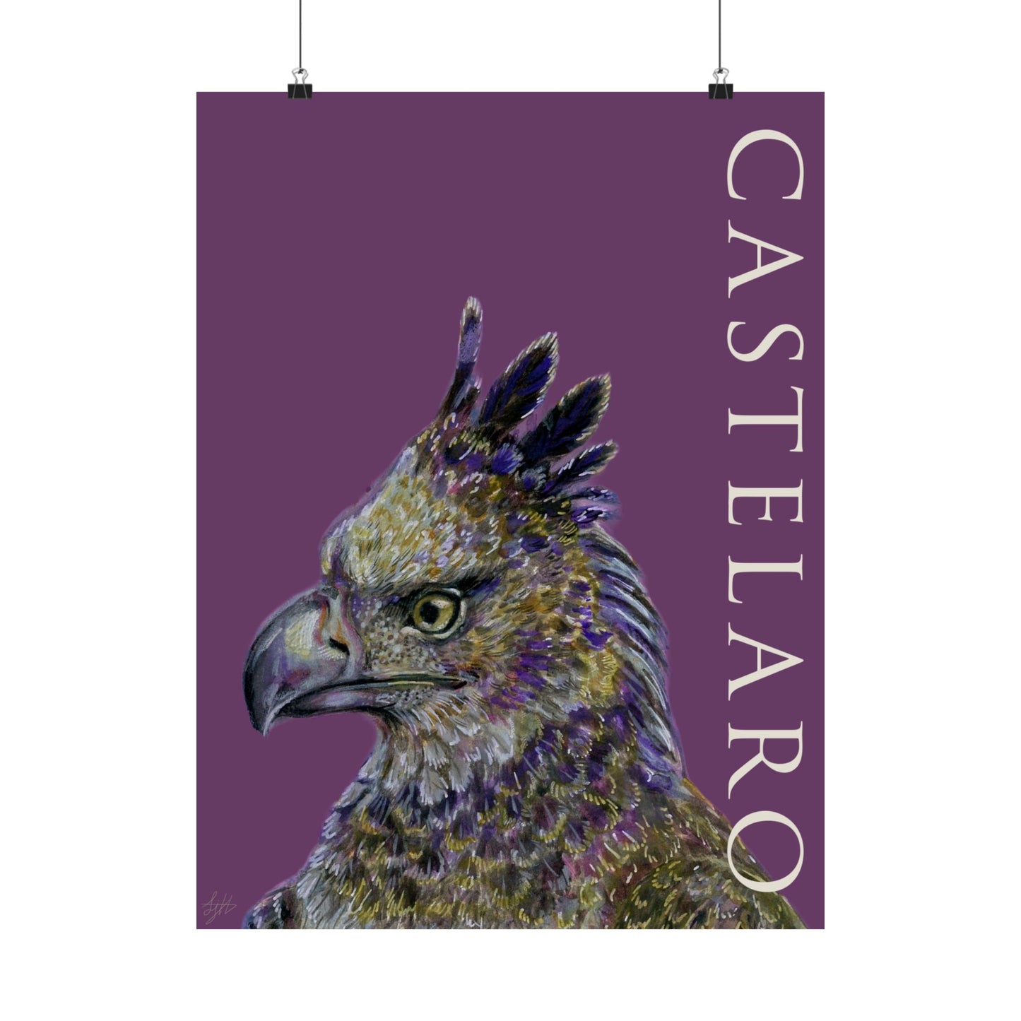 Castelaro Harpy Eagle Matte Poster